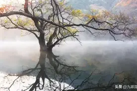 高考文常考点：古代刑法图片