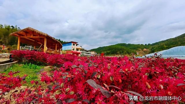 不去你可能会后悔！5月1日~3日一起去长汀这个村子寻宝……