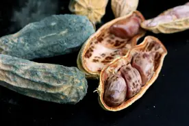 发霉的花生不能吃，含有黄曲霉素可致癌？提醒：5种食物尽量少吃图片