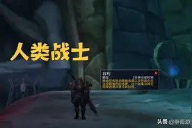 魔兽WLK：十大职业最强种族搭配，练小号别盲目，选对种族很关键图片