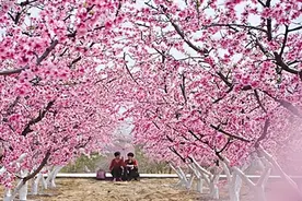 《宛美》特刊｜新野：凝心聚力谱写文旅康养融合新篇章图片