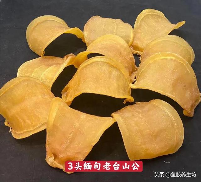 竹叶胶是什么鱼的胶 2026年竹叶胶是很差的鱼胶吗