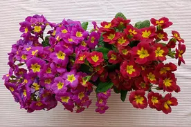 最常见“节”字飞花令图片