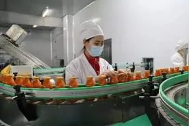 小小胡萝卜 撬动大产业图片