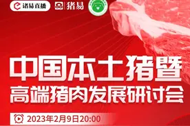 线上论坛 ▎ 2023首届中国本土猪暨高端猪肉发展研讨会图片