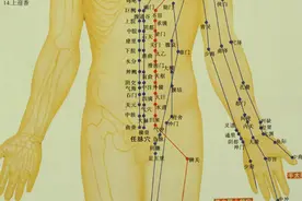 和于大夫从零学中医——针灸篇（第十一篇：标本根结）图片