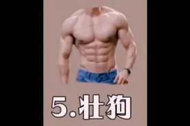 男人九大身材集锦，你中意哪一款哦？#我就喜欢这个图片