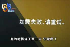 “大众ID4X”频频断网，解决方案是“重启”？图片
