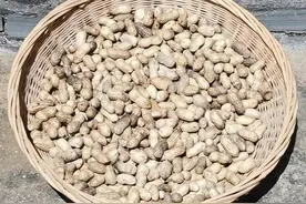 白皮花生、红皮花生、黑皮花生、七彩花生，究竟哪种花生营养高？图片