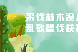 检察官提醒：采伐林木没小事 乱砍滥伐获刑罚图片