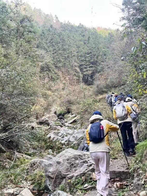 黄山奇遇记：冬观候鸟，野探短尾猴，一场徒步自然的探索之行