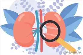 为什么说，20岁男人补肾用六味、30岁男人用五子、60岁男人用归芍图片