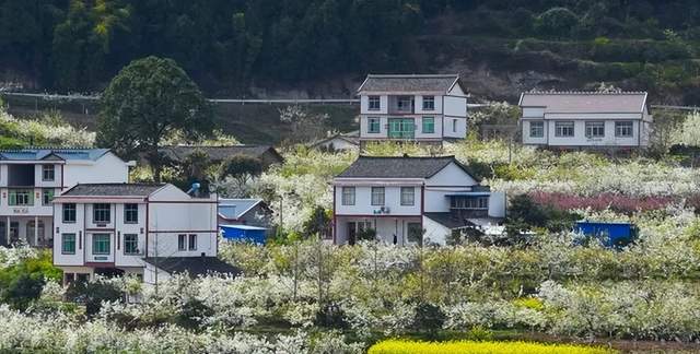 四川省民生研究会新媒体中心-官网