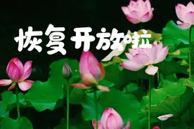 邀您重启美好 无锡这三家景区恢复开放图片