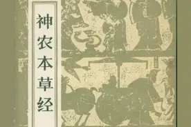 倪海厦《神农本草经》精华上经4图片