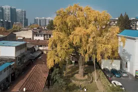 800亿投资，一个怎样的汉阳新古城？图片