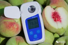 开远18.3度，真甜！图片