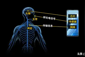 传感器技术大爆发：被列为十大科技之首，重要性堪比芯片图片