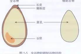 面粉筋道、白、好吃！是因为有“科技与狠活”吗？图片
