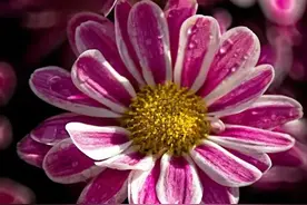 女人对男人上瘾，原因很简单，如此，不上瘾才怪图片