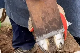 停不下来的解压视频，究竟有什么魔力图片