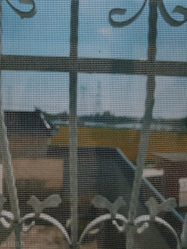 换了2次纱窗，我终于明白了200元金刚网和100元高透网的区别