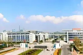 成都又一区宣布：小升初启动“小小摇号”图片