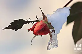 当你觉得疲惫的时候，可以看看这10句话图片