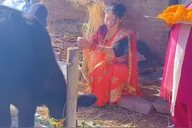 北京38岁大姐二婚远嫁尼泊尔，丈夫小她11岁，婚前被迫和牛先拜堂图片