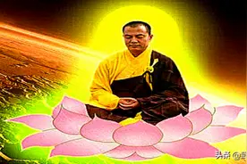 什么是菩提功图片