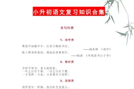 小学语文：总结复习资料，假期吃透这一份，开学语文拿高分图片
