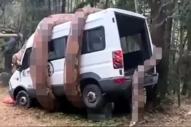 超大巨蟒缠绕车辆？真相来了！蛇为何无法突破泰坦蟒的生长极限？图片