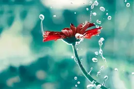 你会嫁给离异带儿子的男人吗？3个不同年龄的女人，给出真实答案图片