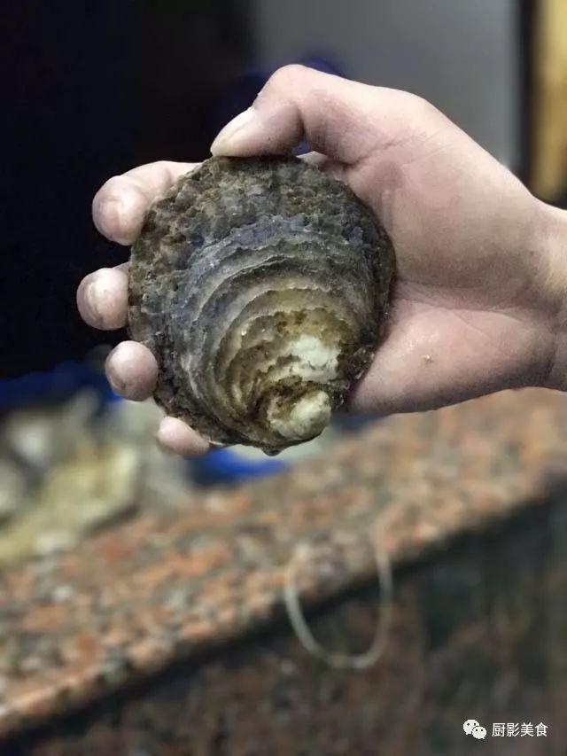 40头的花胶是几级 2025年花胶40头是什么意思?