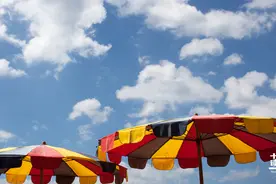 谁都靠不住，除非你有用图片