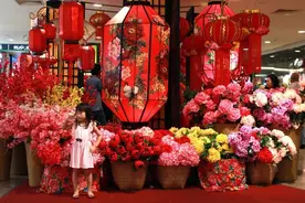 这6种花都是春节“必买”的花，给它们做个比较，就知道选哪种了图片