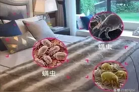 床单30天不洗到底有多脏？多久洗一次最合适？看完再也不偷懒了图片