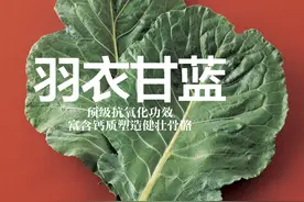 详解抗氧化蔬菜羽衣甘蓝，富含钙质，塑造健壮骨骼图片