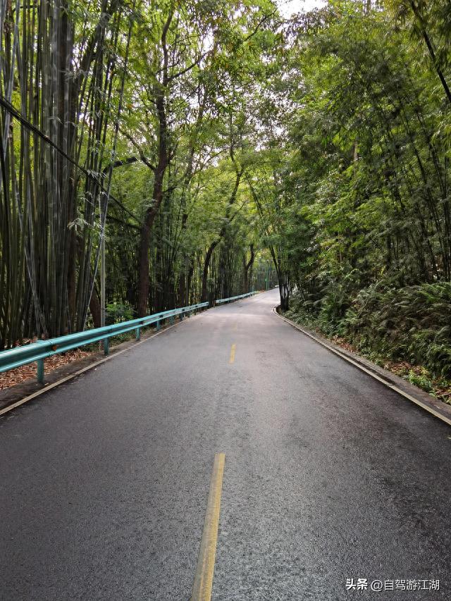 蜀南竹海旅游攻略(蜀南竹海最坑人的地方)