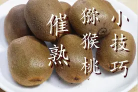 刚买回来的猕猴桃硬邦邦？教你一招，3天就能吃，太实用了图片