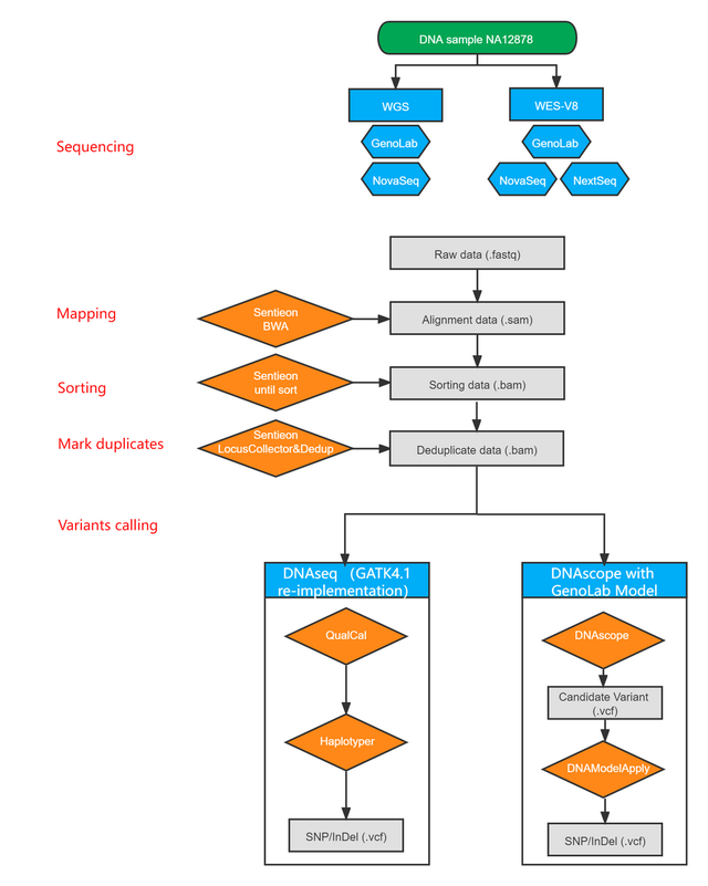 鐪熻繄鐢熺墿GenoLab M涓嶴entieon DNAscope鑱斿悎鎵撻€犻珮绮惧害鍙樺紓妫€娴嬫柟妗? onerror=