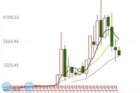 我国股市涨幅最大的10家公司以及股票的本质意义图片