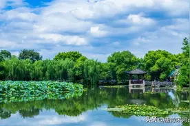 西湖的春天，无人不爱图片