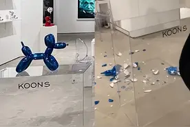 “气球狗”碎满地！29万的限量版，女破坏者：好奇是不是真气球图片