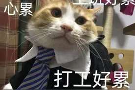 在深圳月薪7500你会辞工吗图片