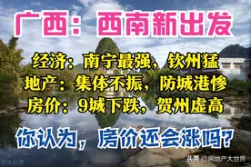 广西1季报：南宁最强，柳州乏力，钦州很猛，防城港差，9城房价跌图片