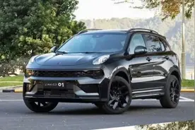 申请领克汽车补贴遭拒，4s店与厂家说法不一？图片