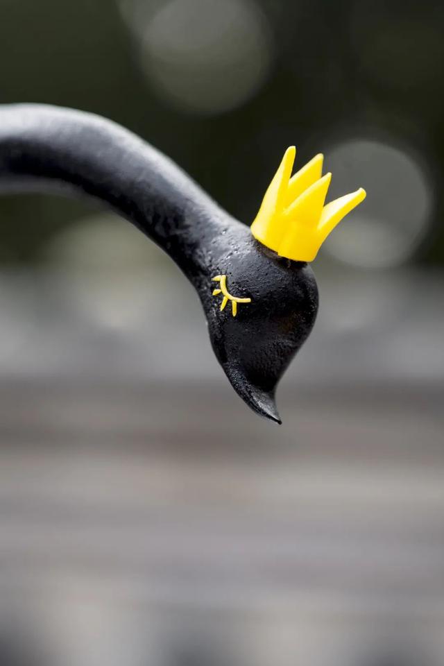 ��������������Ȧ����쵰�⣬����˵���