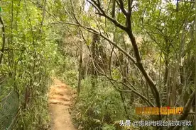 花果园S1区居民：家门口的山体公园，为何唯独通往S1区的路是“断头”的图片