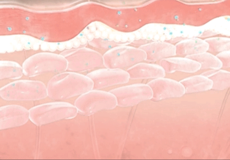 国际大牌雅诗兰黛和兰蔻最钟爱的“土豪酵母”，真的能抗衰吗？